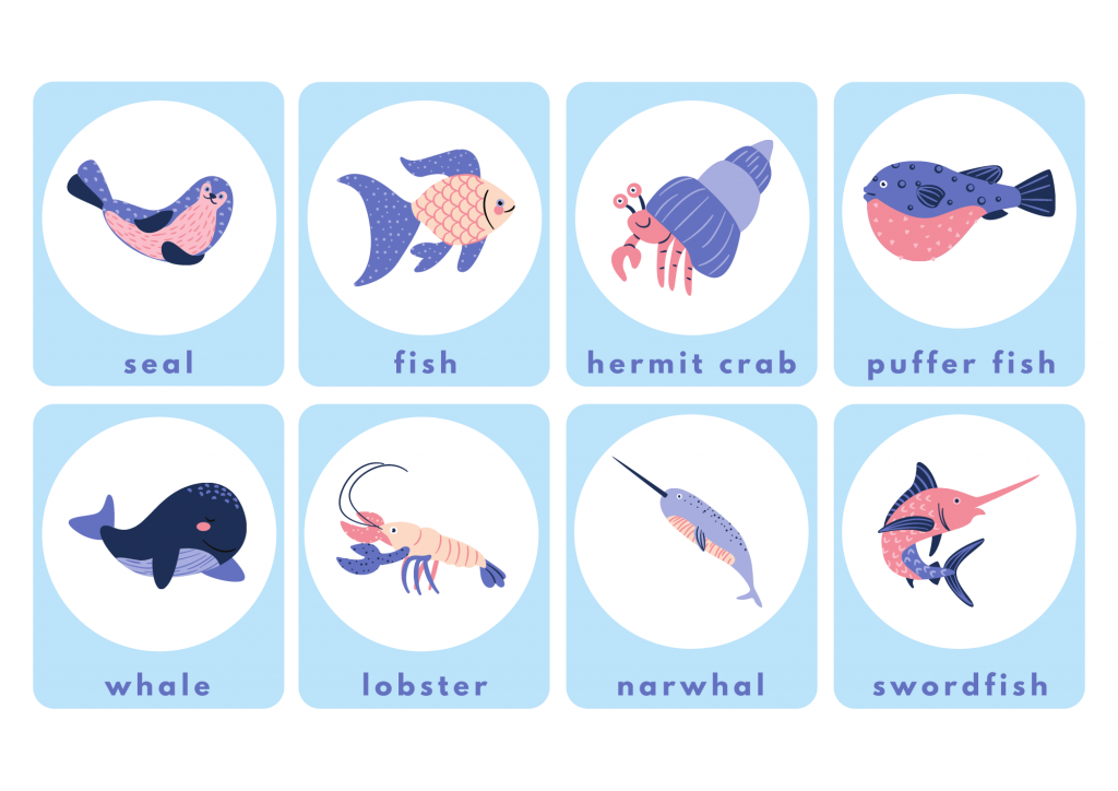 Sea Animals (3): Seals, Fish, Hermit Crabs, Puffer Fish, Whales, Lobsters, Narwhals, And Swordfish