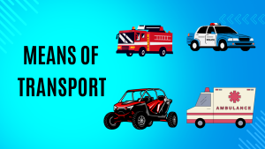 Means Of Transport (9): Police Cars, Firetrucks, Ambulances, And Buggies